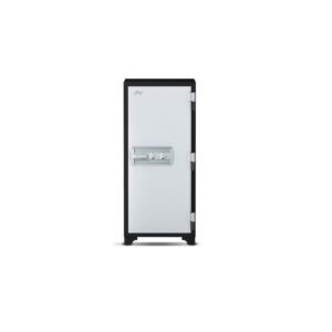 godrej-centiguard-1060-169l-key-lock-home-locker